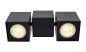 Preview: ALTRA DICE, Indoor Wand- und Deckenaufbauleuchte, double, QPAR51, schwarz