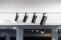 Preview: NUMINOS® L 3Ph., PHASE, 3~ Spot, zylindrisch, 4000 K, 20 Watt, Phasenabschnitt, 24°, matt schwarz