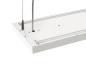 Preview: WORKLIGHT PRO 150, Pendelleuchte, 150 cm, 4000 K, DALI, Touch, weiß