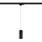 Preview: 3-Phasen-Pendelleuchte - Lucea 20 CCT, 20 W, DALI, 3000/4000 K, Schwarz