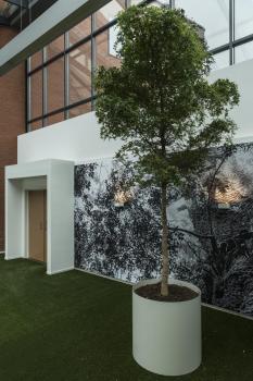 SHELL 15, WL, LED Indoor Wandaufbauleuchte, 3000 K, weiß