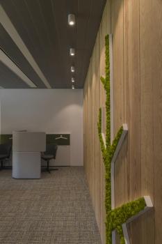 Preview: TRILEDO, Indoor Deckenaufbauleuchte, QPAR51, weiß, max 10 W