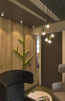 Preview: TRILEDO, Indoor Deckenaufbauleuchte, QPAR51, weiß, max 10 W