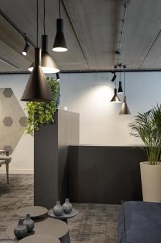 PHELIA 20, Indoor Pendelleuchte, schwarz/gold