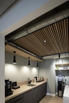 PHELIA 20, Indoor Pendelleuchte, schwarz/gold