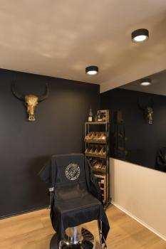 FERA 25 CL DALI, Indoor LED Deckenaufbauleuchte, schwarz