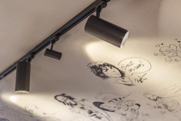 NUMINOS® L 3Ph., PHASE, 3~ Spot, zylindrisch, 2700 K, 20 Watt, Phasenabschnitt, 36°, matt schwarz