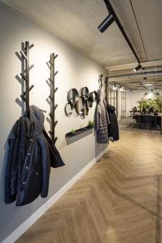 NUMINOS® M 3Ph., DALI, 3~ Spot, zylindrisch, 3000 K, 13 Watt, DALI, 36°, matt schwarz