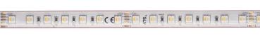 Preview: GRAZIA IP FLEXSTRIP, 24V RGBW IP55