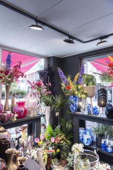 PANEL TRACK, 1 Phasen Spot schwarz 18 W 3000 K