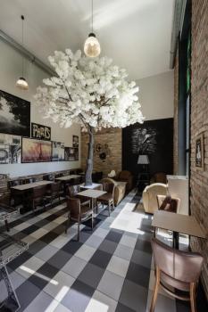 PARA DOME, Schirm transparent