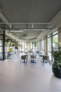 SIGHT TRACK, 3 Phasen Spot weiss CCT