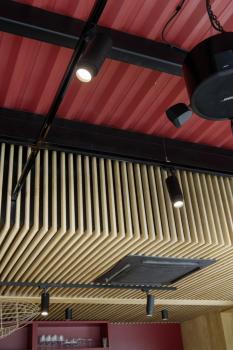 NUMINOS ZOOM M, 3 Phasen Spot schwarz 20 W 3000 K 15-60°