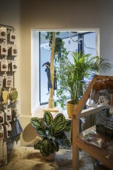 IN-LINE 22 48V TRACK, opal, DALI, Spot, weiß / weiß, 7.3 W, 570 lm, 3000 K, CRI 90, 95°