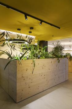 IN-LINE 44 48V TRACK, Darklight Reflector, DALI, Spot, schwarz / schwarz, 14 W, 1230 lm, 3000 K, CRI 90, 35°