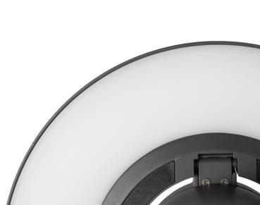 I-RING, Stehleuchte, 9,2 W, 3000 K, anthrazit