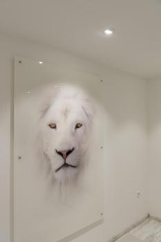 NEW TRIA® 75, Deckeneinbauring, D: 9.3 H: 2.6 cm, IP 20, weiß