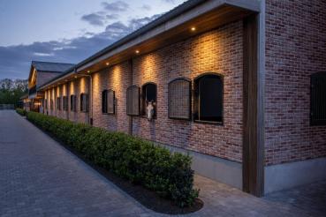 NEW TRIA®, LED-Modul, 2700 K, 38°, PHASE, schwarz