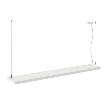 Preview: WORKLIGHT PRO 150, Pendelleuchte, 150 cm, 4000 K, DALI, Touch, weiß