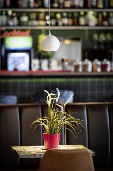 LIGHT EYE® 150, 3~ Pendelleuchte, GU10, Pendellänge 150 cm, 1x max. 13 W, matt weiß