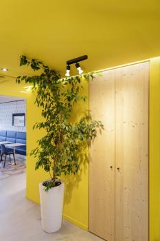 Preview: PURI 2.0 Basic, Wand- und Deckenaufbauleuchte, asymmetrisch, rund, 2 x max. 6 W GU10, schwarz