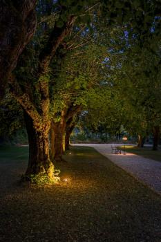 ADEGAN, Outdoor Stehleuchte, Solar, 2200 K, IP65, braun