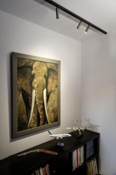 GRIP! S, 48V Spot, zylindrisch, 2000-3000 K, 9.8 W, DALI, Dim-to-Warm, 29°, schwarz / gold