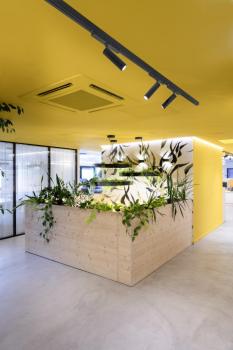 GRIP! M, 3~ Spot, zylindrisch, 3000 K, 20 W, DALI, Touch, 42°, schwarz / gold