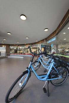 DECONA 30, Deckenaufbauleuchte, rund, 2700/3000 K, 18 W, PHASE, schwarz / gold