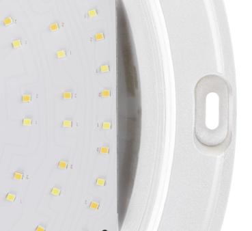 Preview: OUTDOOR BULKHEAD V 360, 20W 830/840/856 IP65 IK10 weiß