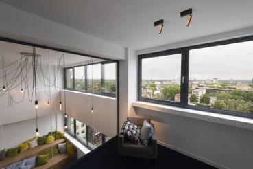 GRIP! S, Deckenaufbauleuchte, single, PHASE, 3000 K, 11 W, 29°, gold / schwarz