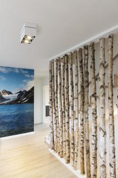 KARDAMOD, Deckenleuchte, zweiflammig, QPAR111, rechteckig, weiß, max. 150 W