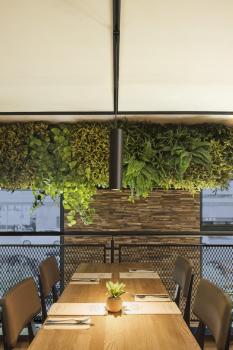 ENOLA B, Pendelleuchte für Hochvolt-Stromschiene 1Phasen, QPAR51, schwarz, max. 50 W, inkl. 1Phasen-Adapter schwarz