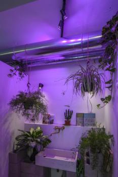 Preview: ENOLA B, Wand- und Deckenleuchte, Spot, einflammig, QPAR51, schwarz, max. 50 W