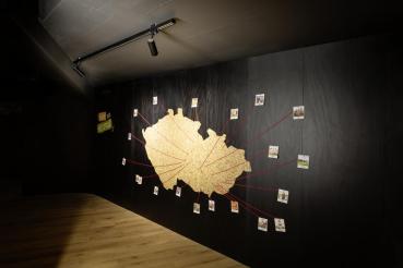 Preview: HELIA 50 TRACK, Strahler für 3Phasen Hochvolt-Stromschiene, LED, 3000 K, weiß, 35°, inkl. 3 Phasen-Adapter