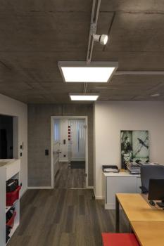 PURI TRACK, Spot für Hochvolt-Stromschiene 3Phasen, QPAR51, weiß, max. 50 W, inkl. 3Phasen-Adapter