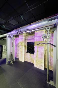 Preview: EURO SPOT, Spot für Hochvolt-Stromschiene 3Phasen, QPAR51, schwarz, max. 25 W, inkl. 3Phasen-Adapter