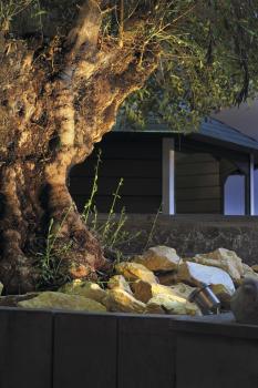 Preview: NAUTILUS, Outdoor Strahler, QR-C51, IP67, edelstahl 304, max. 35 W