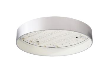 Preview: Decken- und Wandaufbauleuchte - Menkar 400 mm, 45,0 W, 3000/4000 K, Silber