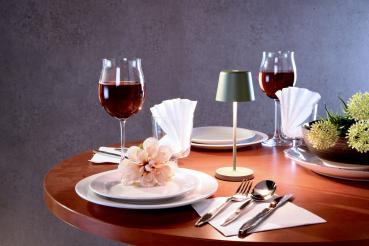 Akkuleuchte - Set Canis Mini Weiß + Ladesockel