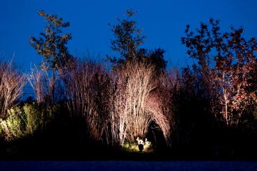 Preview: Fluter - Colt COB, 15 W, DIM, 3000 K, Schwarz