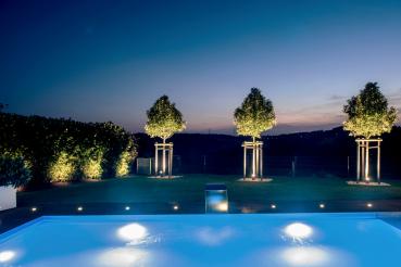 Preview: Fluter - Colt COB, 30 W, DIM, 3000 K, Schwarz