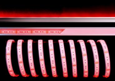 Preview: LED Stripe - Standard, SMD, 24V-13W, RGB, 5m, Silikon