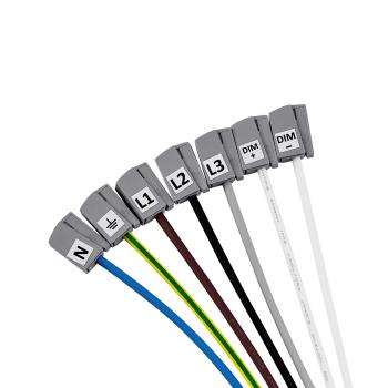 Elektrisches Systemzubehör - Sanotrunk Universal Einspeisebuchse DALI verdrahtet WAGO 267-501