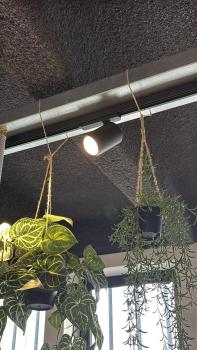 Preview: 3 Ph. Spot LED 930