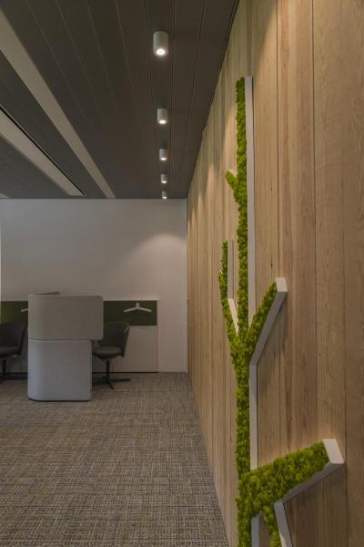 TRILEDO, Indoor Deckenaufbauleuchte, QPAR51, weiß, max 10 W