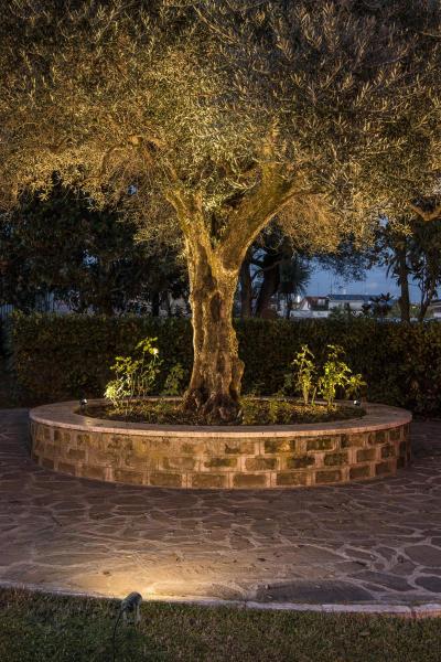 LED SPIKE, LED Outdoor Erdspießleuchte, anthrazit, IP55, 3000 K, 40°