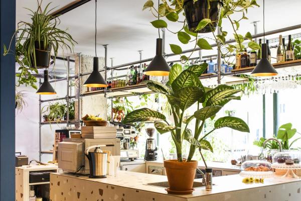 S-TRACK Leuchtenadapter, DALI, PHASE, schwarz