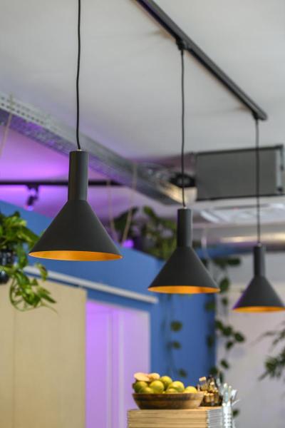 PHELIA 20, Indoor Pendelleuchte, schwarz/gold