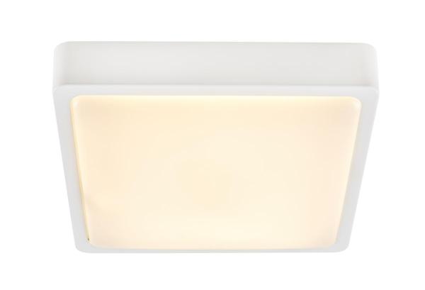 AINOS, Outdoor LED Wand- und Deckenaufbauleuchte weiß CCT switch 3000/4000 K